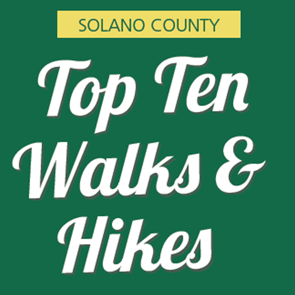 Top 10 Walks & Hikes